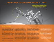 Florida Vector Borne Diseases Alliance: 2011